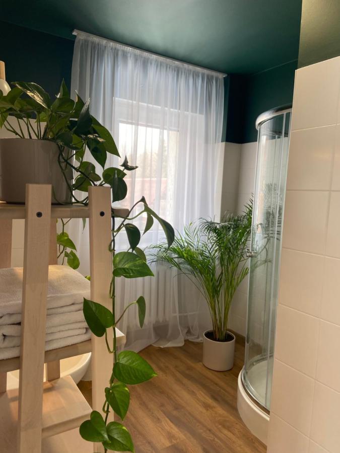 Ferienwohnung Szarotka Karpacz Exterior foto